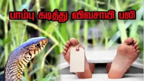 பாம்பு கடித்து விவசாயி சாவு