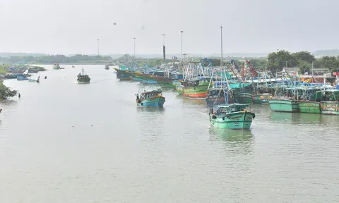 கடலூர் முதுநகர் துறைமுகம் பகுதியில் மீனவர்கள் மீன் பிடிக்க படகுகளில் கடலுக்கு செல்வதை படத்தில் காணலாம்.