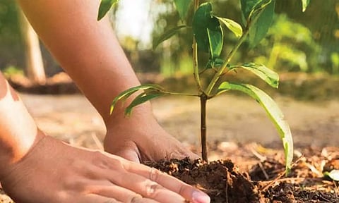 அரசு உயர்நிலைப்பள்ளியில் மரக்கன்றுகள் நடும் விழா