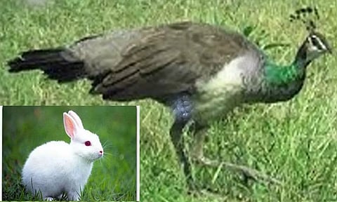 கோப்புபடம்.&nbsp;