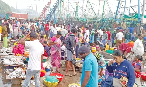 மீன் வாங்க குவிந்த மக்களை படத்தில் காணலாம்.