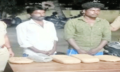 கைது செய்யப்பட்டவர்களை படத்தில் காணலாம்.