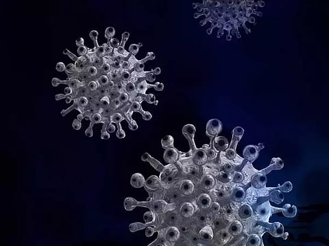 கொரோனா பாதிப்புடன் 5 பேர் சிகிச்சை