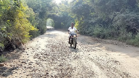 நீண்ட நாட்களாக சேமடைந்து கிடக்கும் சாத்தையாறு அணையை ஒட்டியுள்ள சாலை.