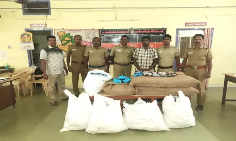 பண்ருட்டி அருகே மூட்டை மூட்டையாக தடை செய்யப்பட்ட ஹான்ஸ் பாக்கெட்டுகளை போலீசார் பறிமுதல் செய்தனர்.