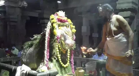 கல்யாண பசுபதீஸ்வரர் கோவிலில் பிரதோஷ விழா