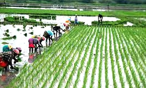 கோப்புபடம்.&nbsp;