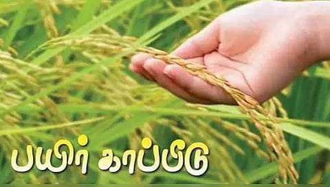 விவசாயிகள் பயிர் காப்பீடு செய்ய அழைப்பு