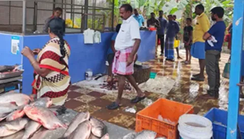 கடைகளில் இறைச்சி, மீன் வாங்க குவிந்த பொதுமக்கள்&nbsp;