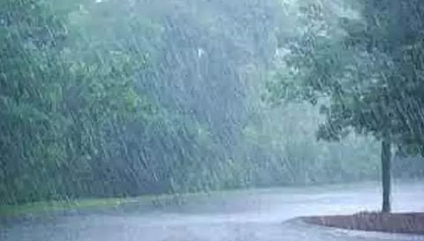 சேலம் மாவட்டம் முழுவதும் பரவலாக மழை ஏற்காட்டில் 29.6 மி.மீ பதிவு