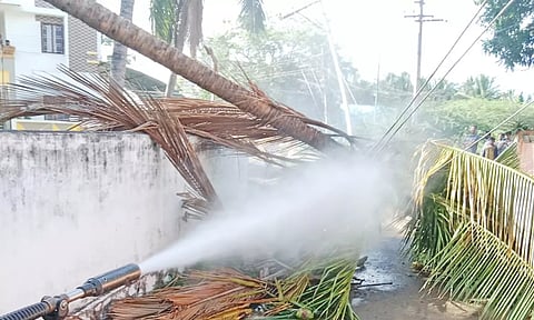 சுசீந்திரம் அருகே தென்னை மரம் முறிந்து தீ விபத்து