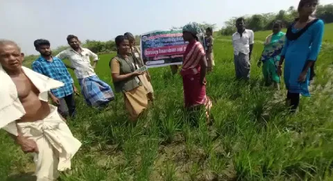 விவசாயிகளுக்கு செயல் விளக்கம்