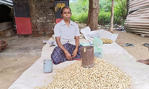 போடி அருகே கடலை விற்கும் கவுன்சிலர் கலாவதி.