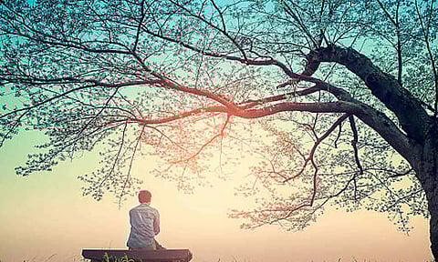 மரமும் மனிதனும்...