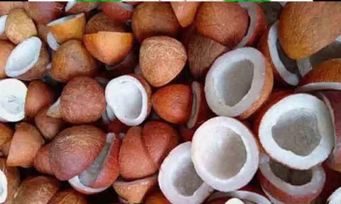 கோப்புபடம்.