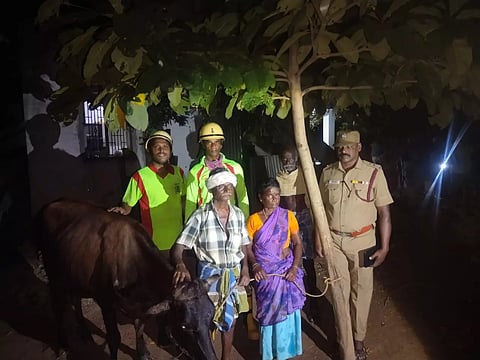 ஆலங்குடியில் கழிவு நீர் தொட்டியில் விழுந்த பசுமாடு மீட்பு