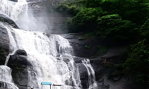 மெயினருவியில் ஏற்பட்டுள்ள வெள்ளத்தை படத்தில் காணலாம்.