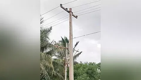 நாமக்கல் அருகே ஏரி தண்ணீரில் மிதக்கும் மின் கம்பம்