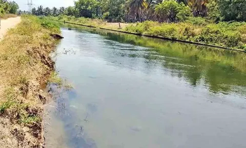 கோப்புபடம்