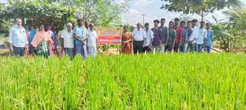 ஊட்டச்சத்து பாதுகாப்பு குறித்து செயல் விளக்கம்