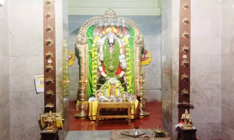 மூலவர் தன்வந்திரி பெருமாள் துளசி மாலை, வண்ண மலர்களால் அலங்கரிக்கப்பட்டு பூஜை நடந்த போது எடுத்த படம்