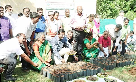 தஞ்சையில் சமுதாய நாற்றங்கால் தோட்டம் என்ற திட்டத்தை கலெக்டர் தினேஷ் பொன்ராஜ் ஆலிவர் தொடங்கி வைத்தார்.