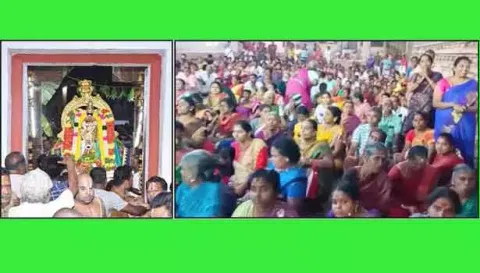 சொர்க்கவாசல் வழியே வந்த பெருமாளை பக்தர்கள் வழிபாடு செய்தனர்.