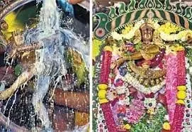 பேரூர் பட்டீஸ்வரர் கோவிலில் ஆருத்ரா தரிசன விழா