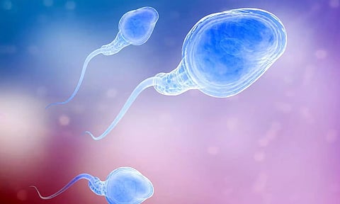 கொரோனா தாக்கிய ஆண்களின் விந்து தரம் பாதிக்கப்படுகிறது- எய்ம்ஸ் டாக்டர்களின் ஆய்வில் அதிர்ச்சி தகவல்