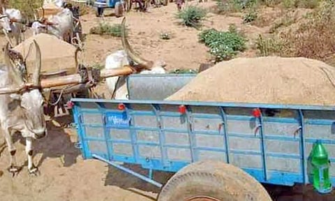 தஞ்சையில் மாட்டு வண்டியில் மணல் கடத்தியவர் கைது