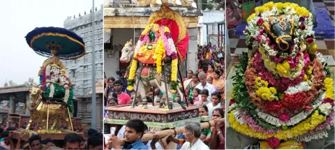 பிரதோஷத்தையொட்டி திருவண்ணாமலை அருணாசலேஸ்வரர் கோவில், வந்தவாசி ஜலகண்ேடஸ்வரர் கோவில், கண்ணமஙகலம் கொளத்தூர் கோவிலில் நந்திக்கு சிறப்பு அபிஷேகம் நடந்தது.