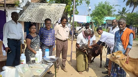 திருமானூர் அருகே கால்நடை சுகாதார மற்றும் விழிப்புணர்வு முகாம்