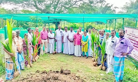 பயனாளிகளுக்கு தென்னங்கன்று வழங்கப்பட்டது.