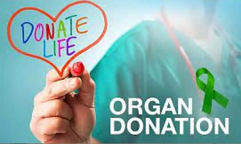 டி.வி. தலையில் விழுந்து மூளைச்சாவு அடைந்த 1½ வயது குழந்தை உடல் உறுப்புகள் தானம்