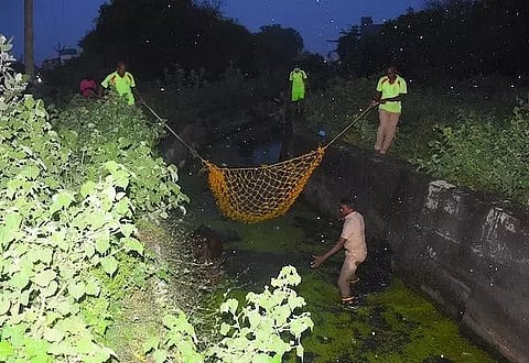 வாய்க்காலில் விழுந்து முதியவர் சாவு