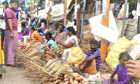 ராமநாதபுரம் புதிய பஸ் நிலையம் பகுதியில் பனங்கிழங்குகள் விற்பனை நடைபெறுகிறது.
