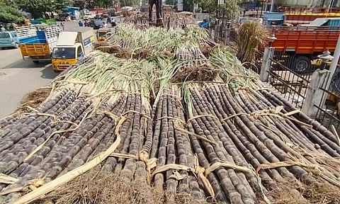 பொங்கல் சிறப்பு சந்தைக்கு கரும்புகள் வரத்தொடங்கின- ஒரு கட்டு ரூ.300 வரை விற்பனை