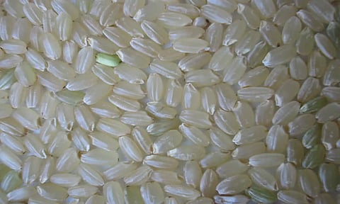 கோப்பு படம்&nbsp;