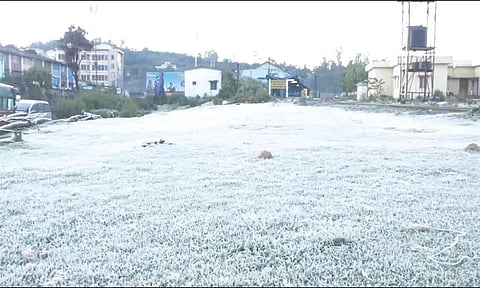 புல்வெளி மீது உறைபனி காணப்பட்டதை படத்தில் காணலாம்.