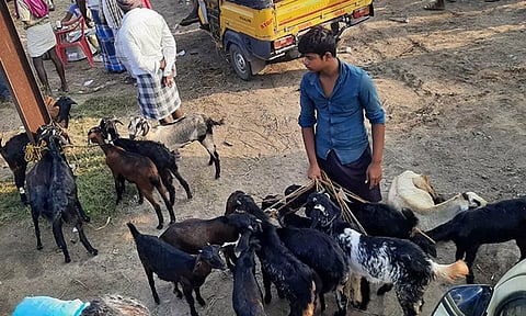 உளுந்தூர்பேட்டை வாரச்சந்தையில் பொங்கலை முன்னிட்டு ரூ.2 கோடிக்கு ஆடுகள் விற்பனை