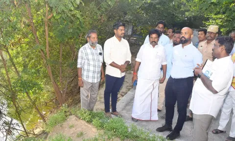 முகவை ஊரணி நடைபாதை பணிகளை கலெக்டர்  ஜானிடாம் வர்கீஸ் ஆய்வு செய்தார்.