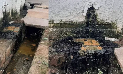 பொம்மிடியில் உள்ள தனியார் ஆலையிலிருந்து கால்வாயில் மனித கழிவை வெளியேற்றும் காட்சி.