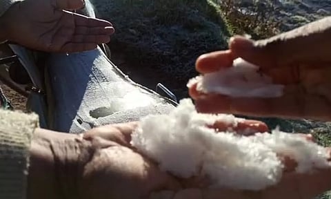 ஊட்டியில் மக்களை உறைய வைக்கும் உறைபனி- 4 டிகிரி செல்சியஸ் வெப்பநிலை பதிவு