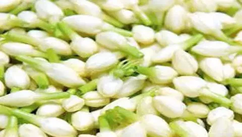 பொங்கல் பண்டிகையையொட்டி சேலத்தில் பூக்கள் விலை கிடுகிடுவென உயர்வு