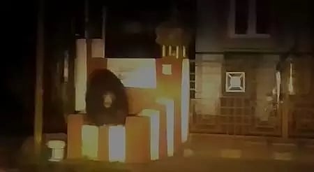 ஊர்க்காவல் படை வீரரை கரடி துரத்தியதால் பரபரப்பு