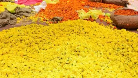 பூக்கள் வரத்து குறைவால் கிலோ ரூ.2000-க்கு விற்பனை