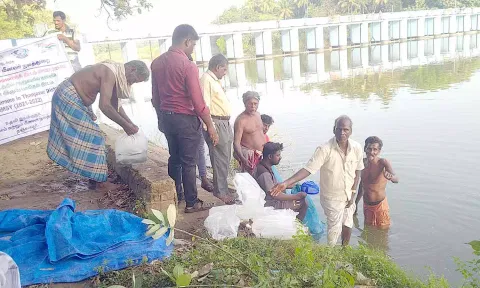 வெட்டாற்றில் மீன் குஞ்சுகள் விடப்பட்டன.
