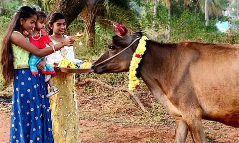 பிறவிப் பிணி தீர்க்கும் கோ பூஜை... வழிபட்டால் தீரும் பிரச்சனைகள்