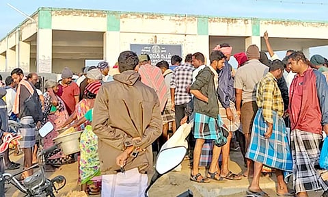 மீன் வாங்க குவிந்த பொதுமக்கள்.