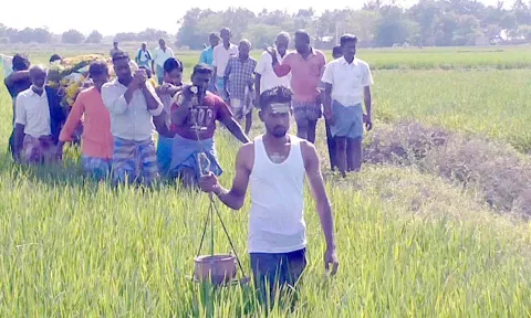 இறந்தவர் உடலை வயல் வழியாக சுமந்து செல்லும் பொதுமக்கள்.